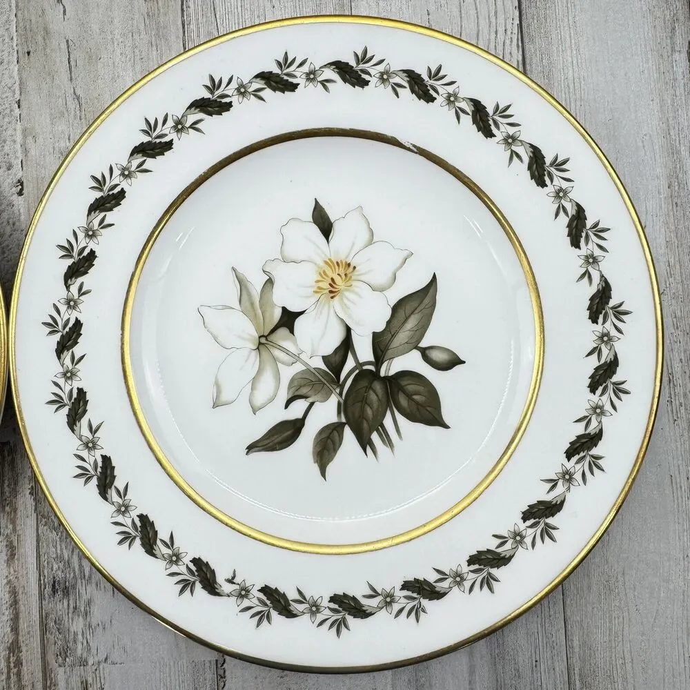 2 Vintage Royal Worcester Bernina 8” Salad Dessert Plates Made In England Flaw